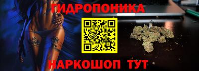 ПСИЛОЦИБИНОВЫЕ ГРИБЫ Ачхой-Мартан