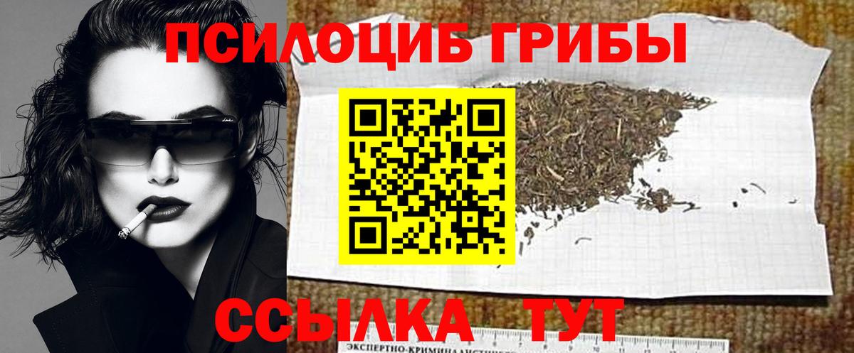 Псилоцибиновые грибы Cubensis Белорецк
