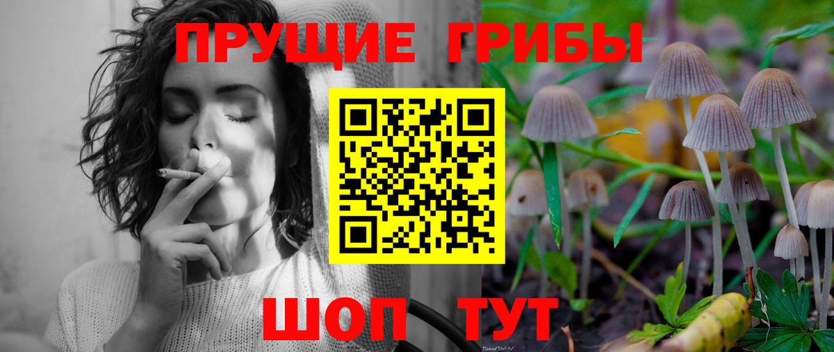 Псилоцибиновые грибы Cubensis  Вход с VPN  Галлюциногенные грибы Psilocybe  даркнет сайт  Белорецк 